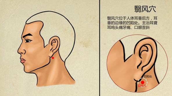 _秋季养生必吃十种食物_秋季饮食养生吃什么